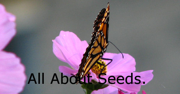 Canadian Gardening - all about seeds and seedlings - banner
