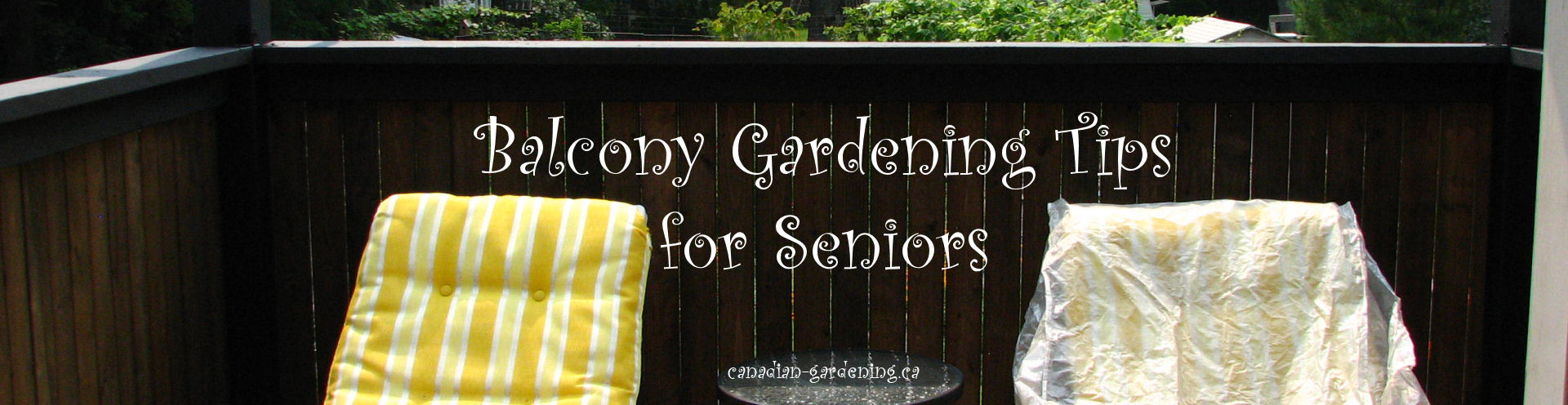 balcony gardening tips for seniors logo