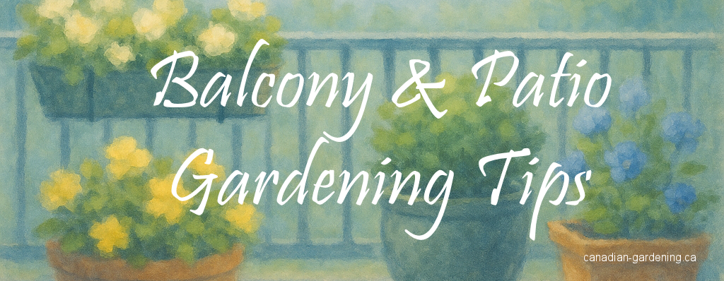 Balcony and Patio Gardens