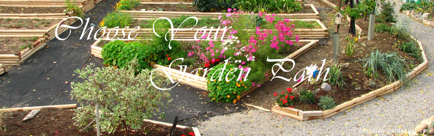 Choose your garden path - Canadian Gardening