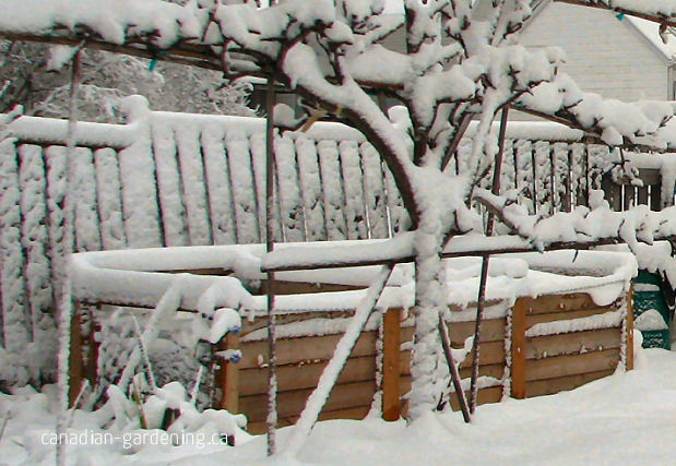 Compost bins and worm bins in winter