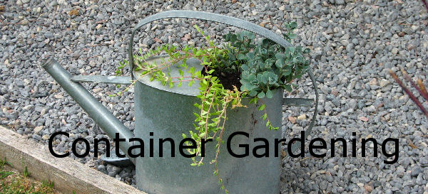 Container Gardening - grow food,  flowers, herbs banner