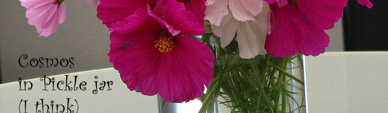 floral arrangements - cosmos in pickle jar