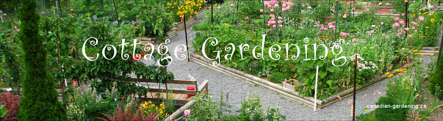 banner, cottage gardening 