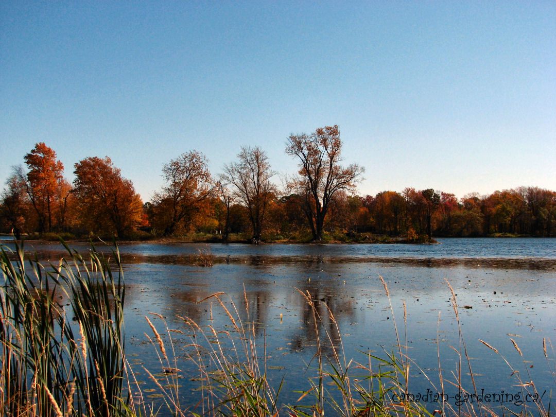 fall color apsley