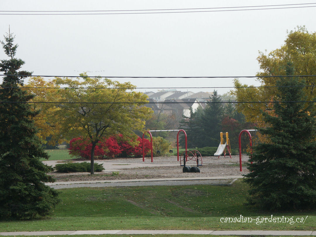 fall color playground ajax