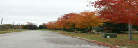 fall in canada street