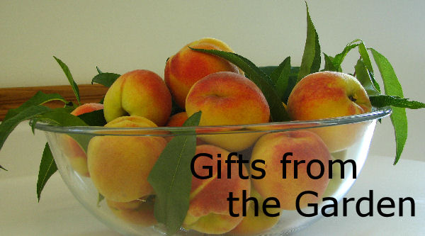  gifts from the garden - suggestion for buying gifts for gardeners