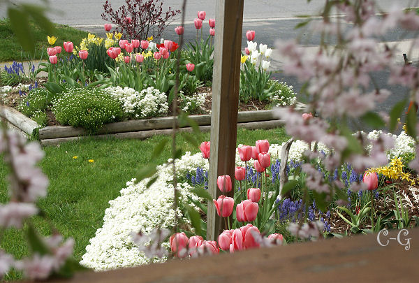 Canadian Gardening - growing Flowers banner