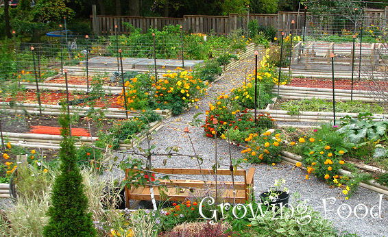 Canadian Gardening - growing food banner