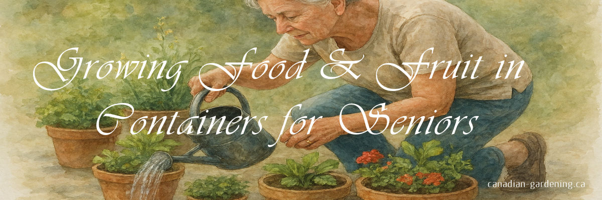 growing food, fruit in containers for seniors hero