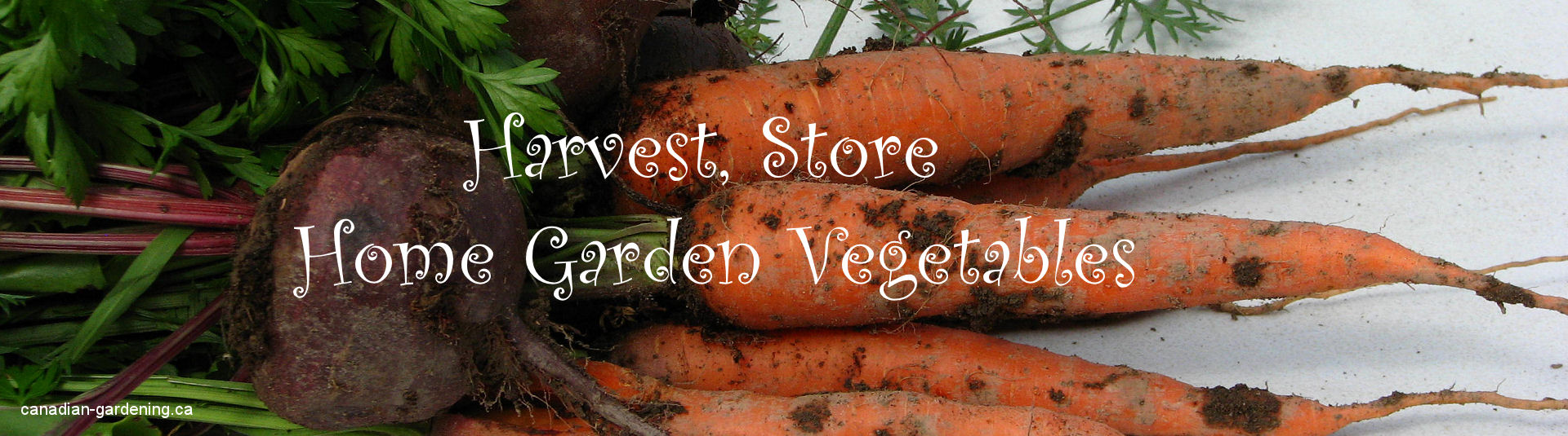harvest-store-home-garden-vegetables-logo