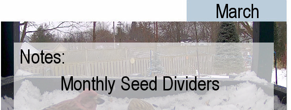 Monthly Seed Dividers Banner