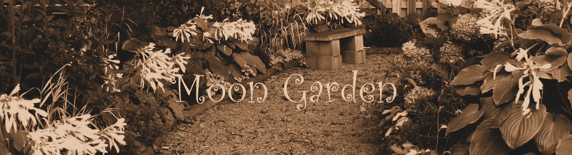 moon garden, white garden with silver foliage logo