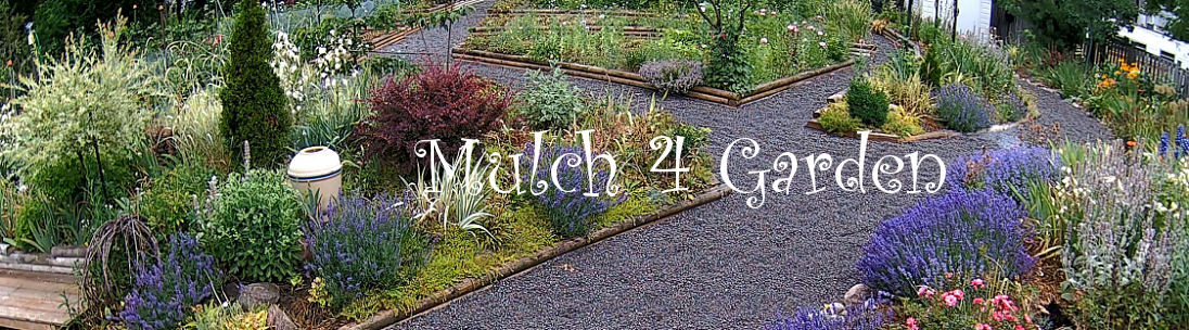 Mulch for garden and benefits