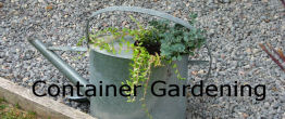 container gardens for food and flowers