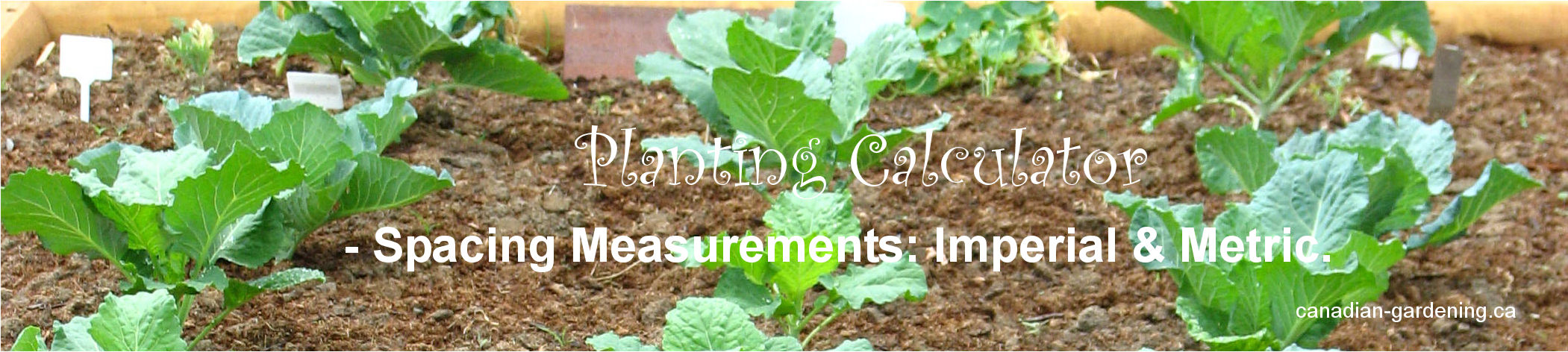 Canadian Gardening - planting, vegetable, calculator, imperial, metric, spacing