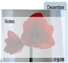 December Seed Divider