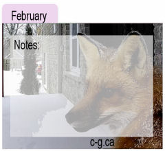 February Seed Divider