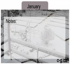 January Seed Divider