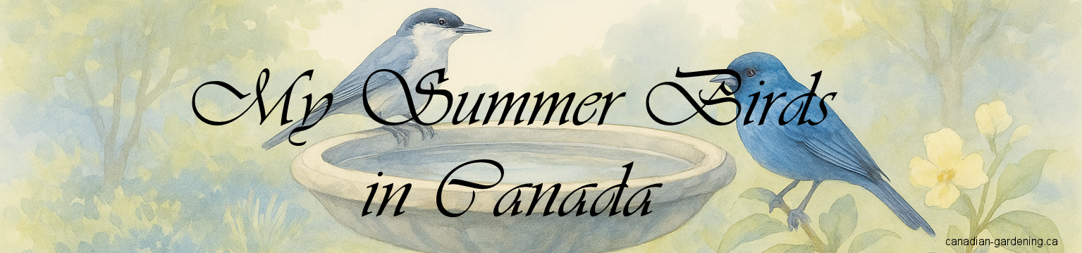 banner, short video playlist for summer Birds in Canada