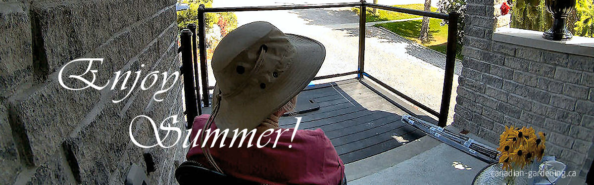 Summer garden in Canada