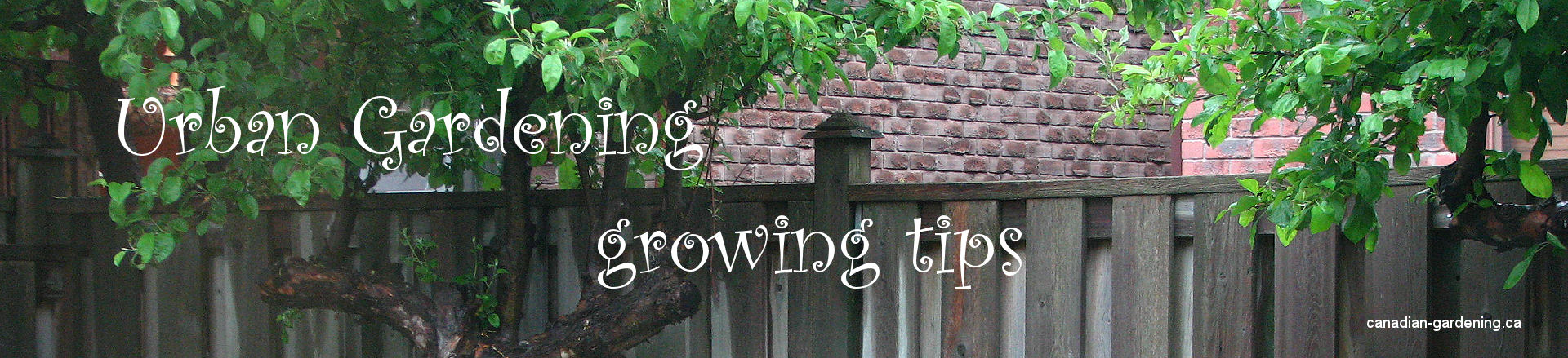 urban gardening growing tips for food and flowers logo