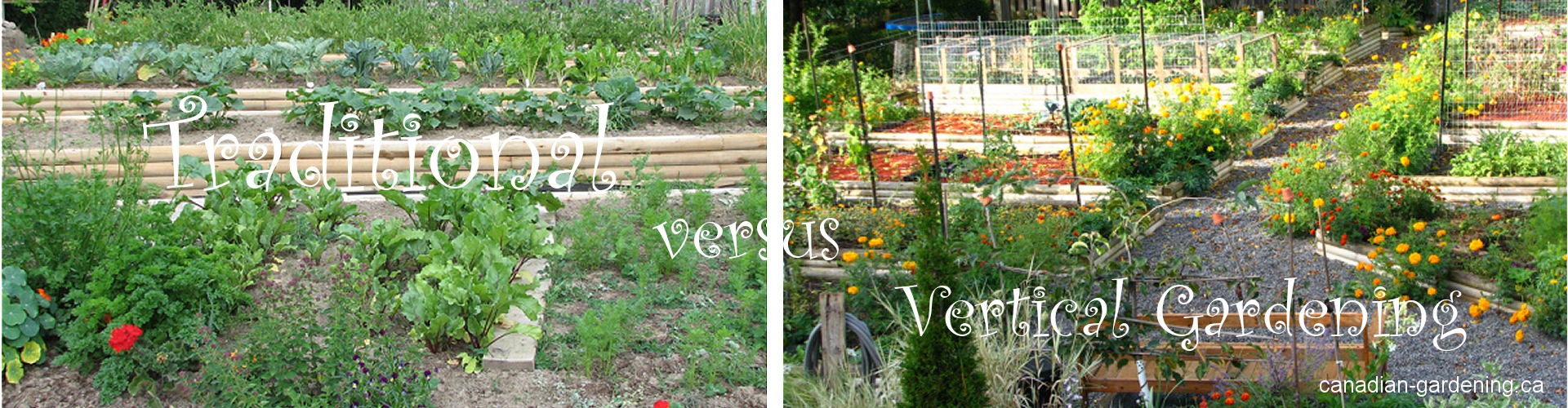 vertical-versus-traditional-gardening-logo