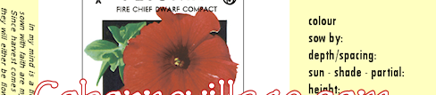 vintage flower seed packet craft printable logo