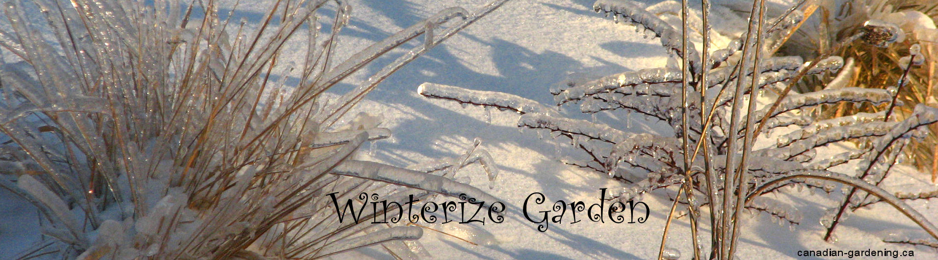 winterize the garden before winter arrives logo